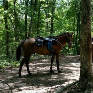 Meet your Posher, Eva